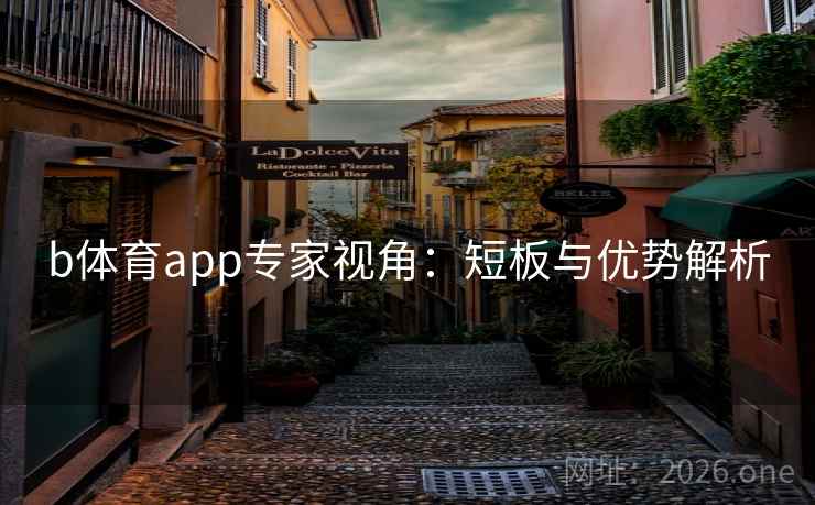 b体育app专家视角：短板与优势解析