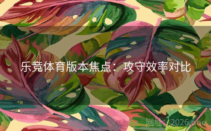 乐竞体育版本焦点：攻守效率对比
