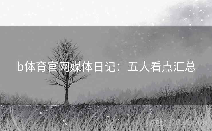 b体育官网媒体日记：五大看点汇总