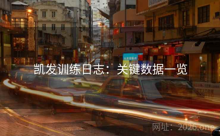 凯发训练日志：关键数据一览