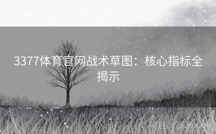 3377体育官网战术草图：核心指标全揭示