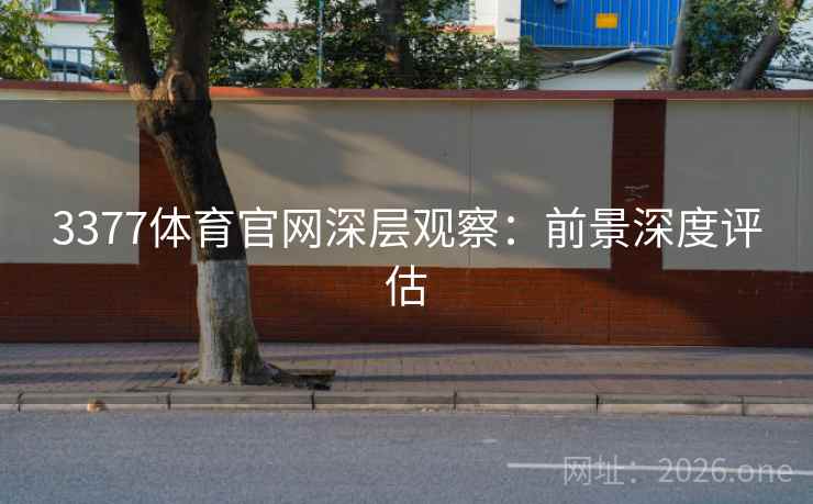 3377体育官网深层观察：前景深度评估