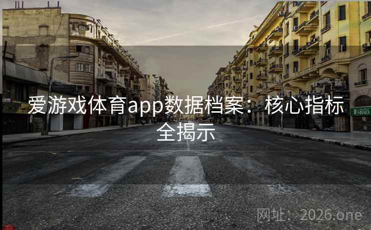 爱游戏体育app数据档案：核心指标全揭示
