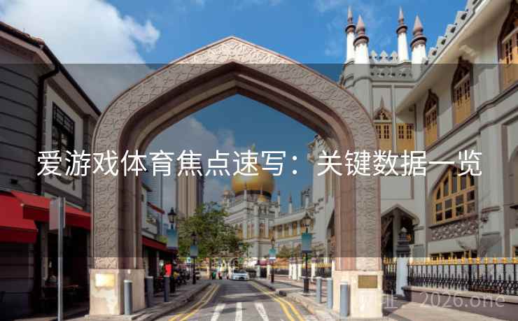 爱游戏体育焦点速写：关键数据一览