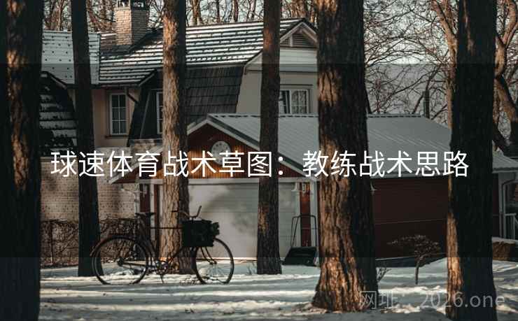 球速体育战术草图:教练战术思路 球速体育战术草图:教练战术思路