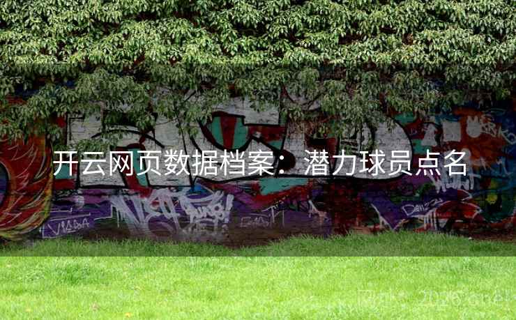 开云网页数据档案：潜力球员点名